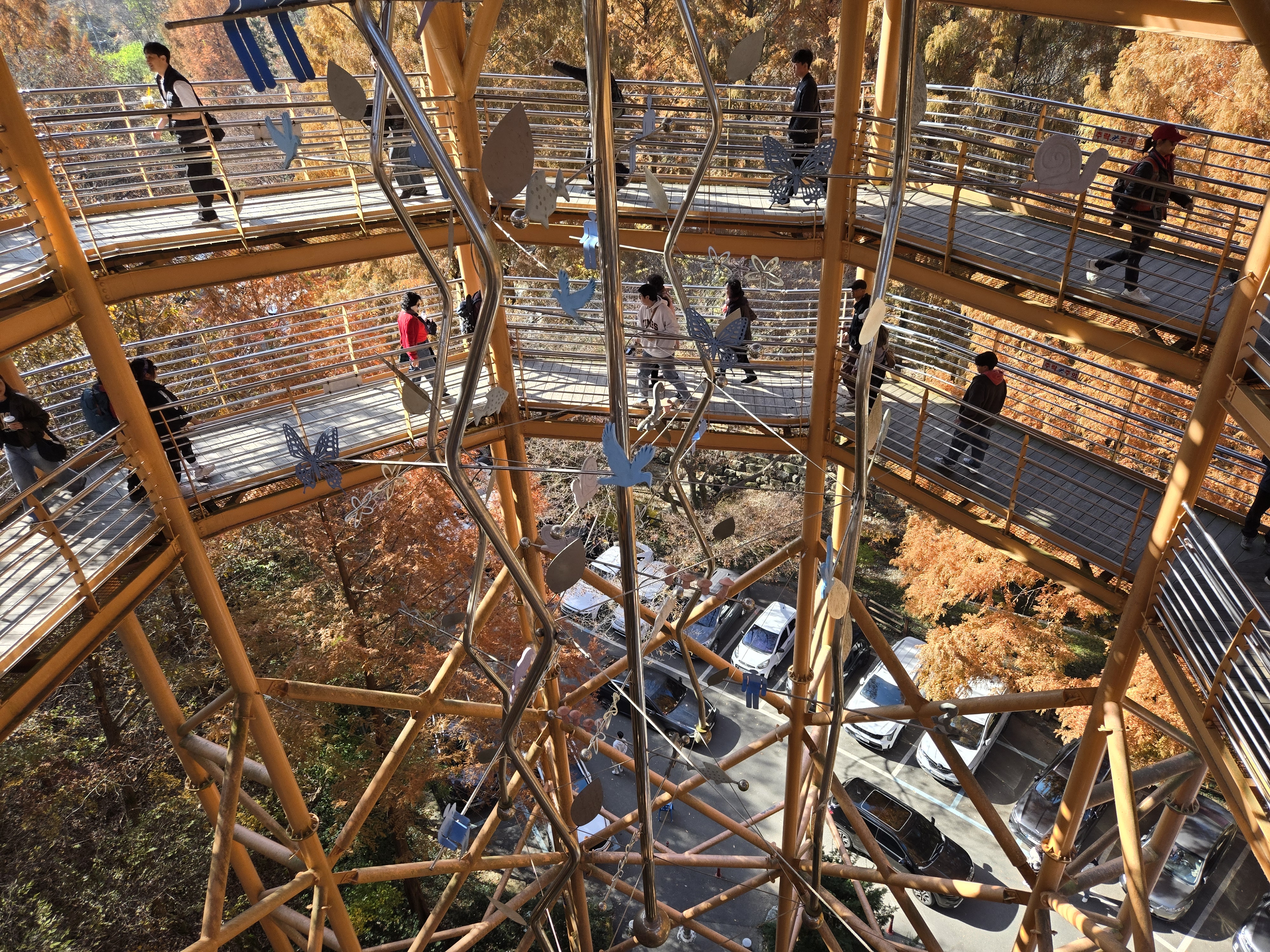숲속 데크길 & 전망대 — 시선과 호흡을 함께 쉬게 하는 공간
