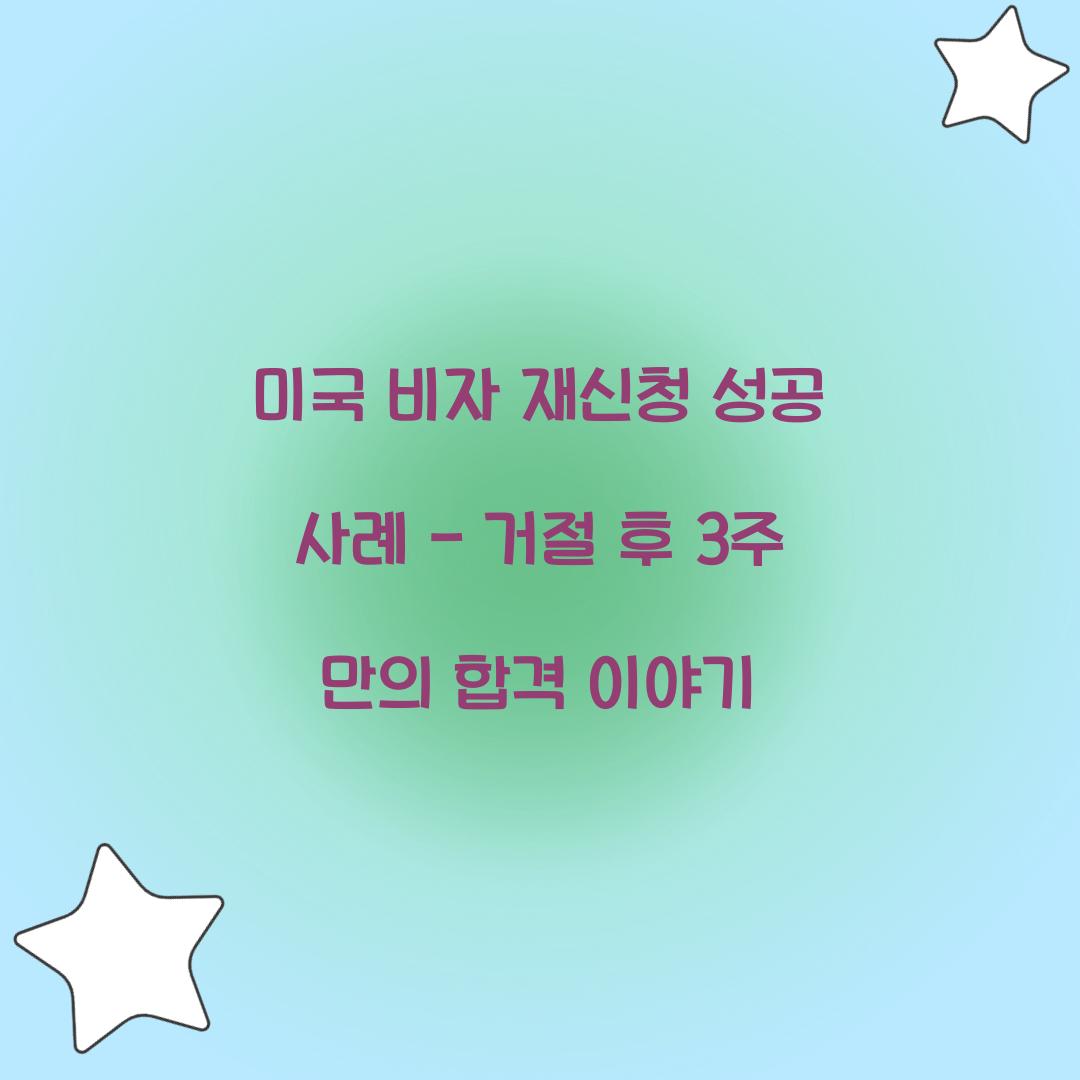 미국 비자 재신청