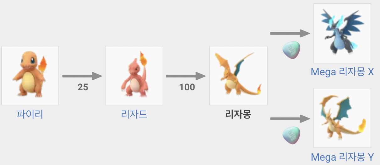 리자몽 진화