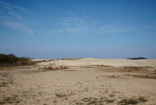 태안 가볼만한곳