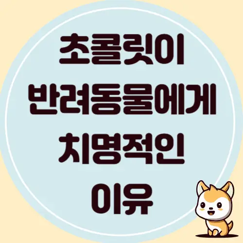 초콜릿이 반려동물에게 치명적인 이유