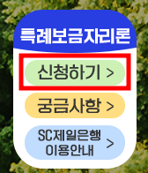 특례보금자리론
