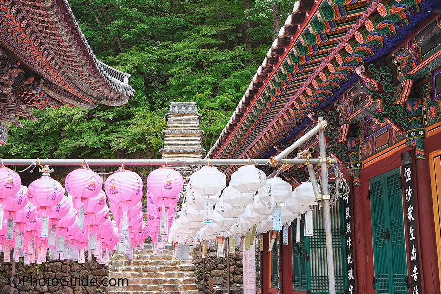 쌍계사-포토가이드