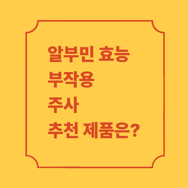 알부민-효능