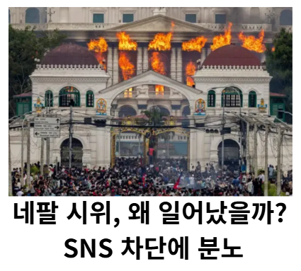 네팔시위원인