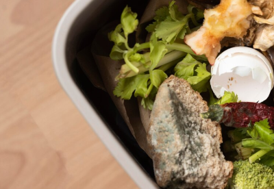 음식물처리기 지원금