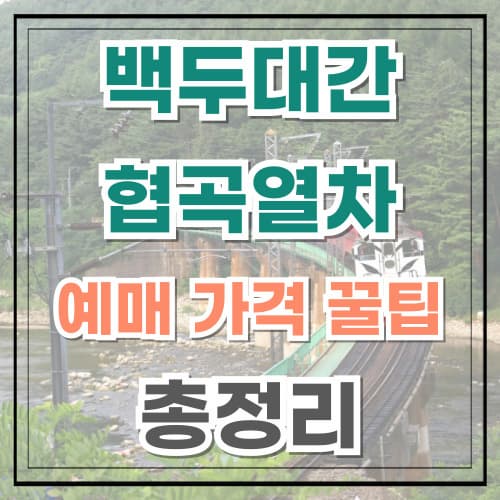 백두대간 협곡열차 예매 가격 꿀팁 총정리