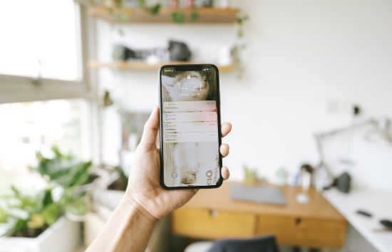 SNS 플랫폼별 신조어 생태계 분석