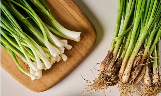 쪽파 언제 심어요? 가을 쪽파 봄 쪽파 심는 시기/종구/심는 방법/수확/보관