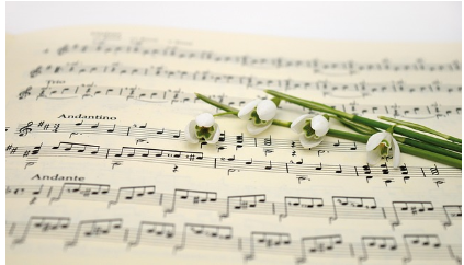 감정을 수치화하다 - 노래 가사 감성 분석가