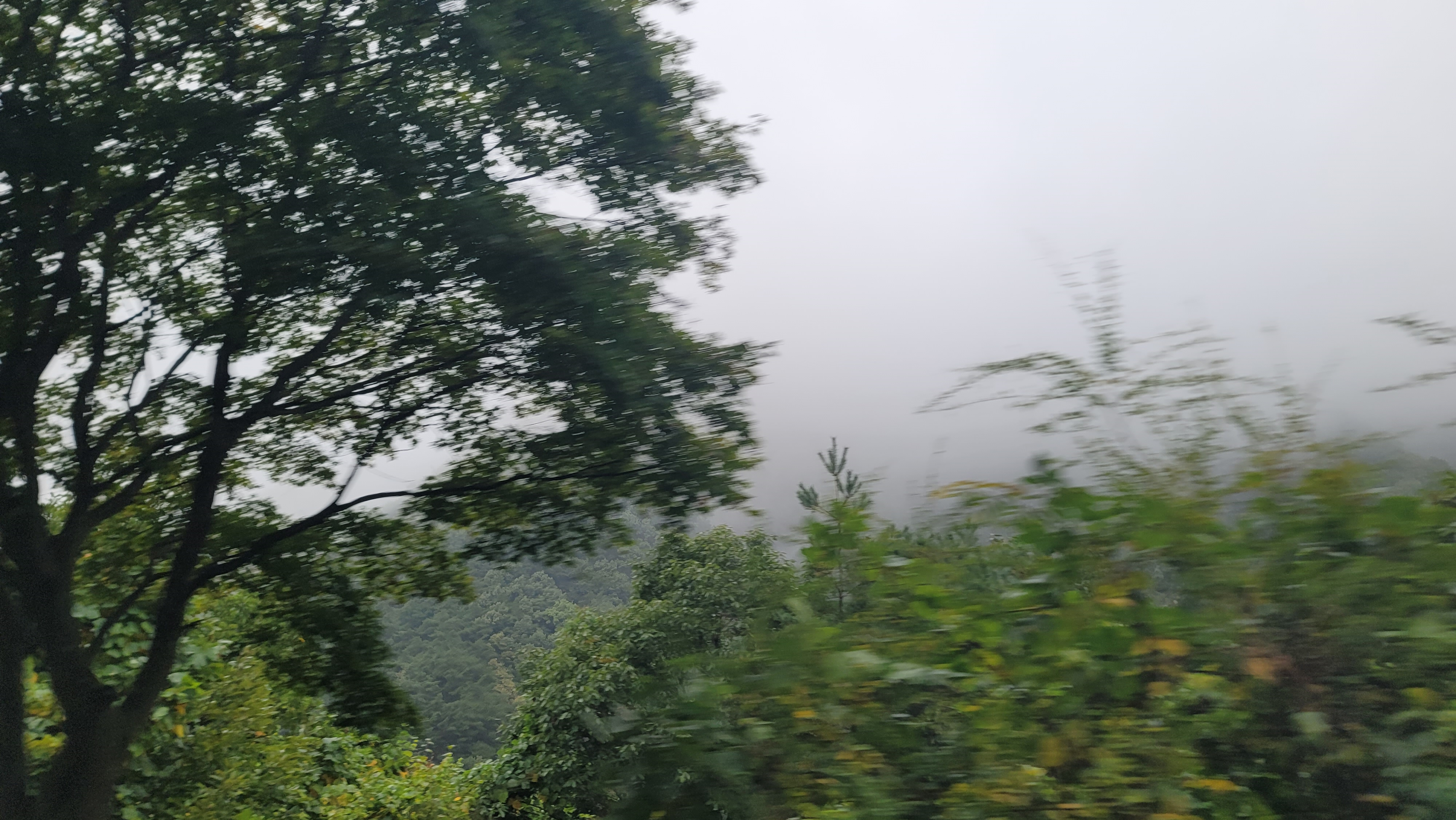 안개 낀 지리산 자락을 헤치고 달리는 강사 밥과장의 출장길 전경. 날씨는 흐리고 창밖 풍경은 빠르게 스쳐 지나가지만, 남원 어르신들에게 디지털 문해력의 가치를 전하기 위해 달려가는 열정이 느껴지는 현장 사진입니다. '디지털 따뜻한 다리'를 잇기 위해 이동 중임을 시각적으로 표현하고 있습니다.