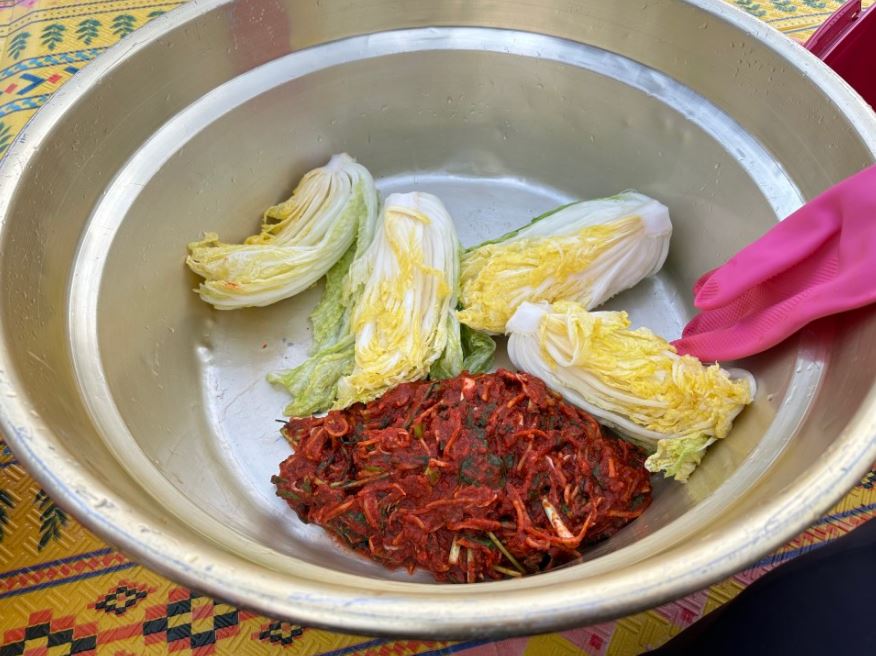 김장배추