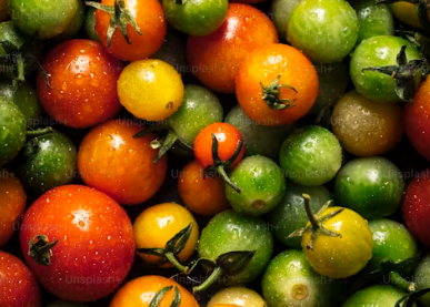 양배추 볶음 요리법3