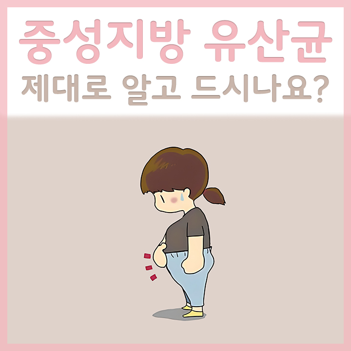 중성지방-유산균