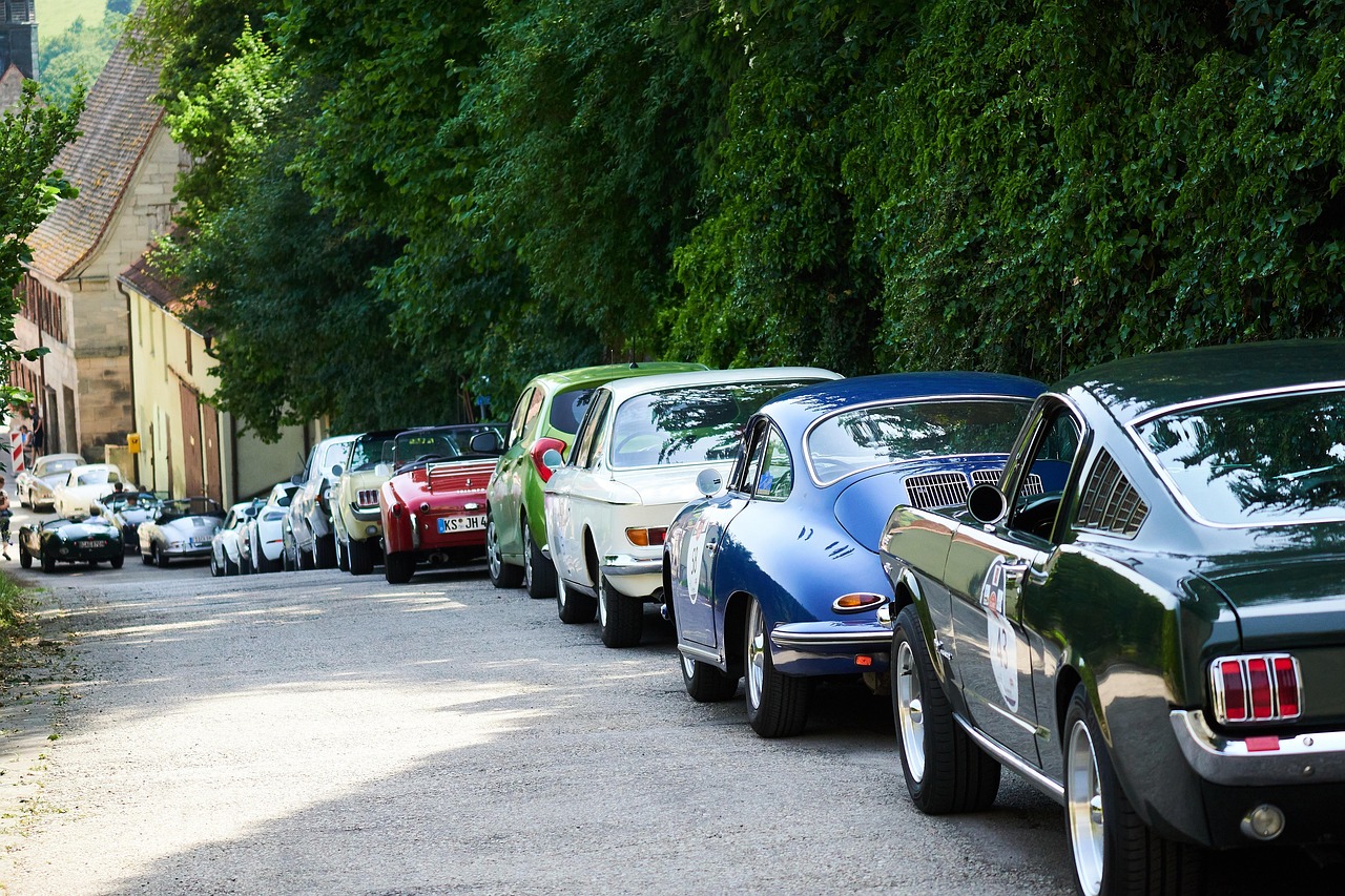 차량 5부제 의무화 시행