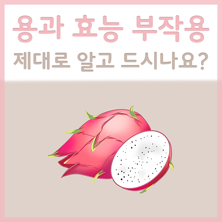 용과