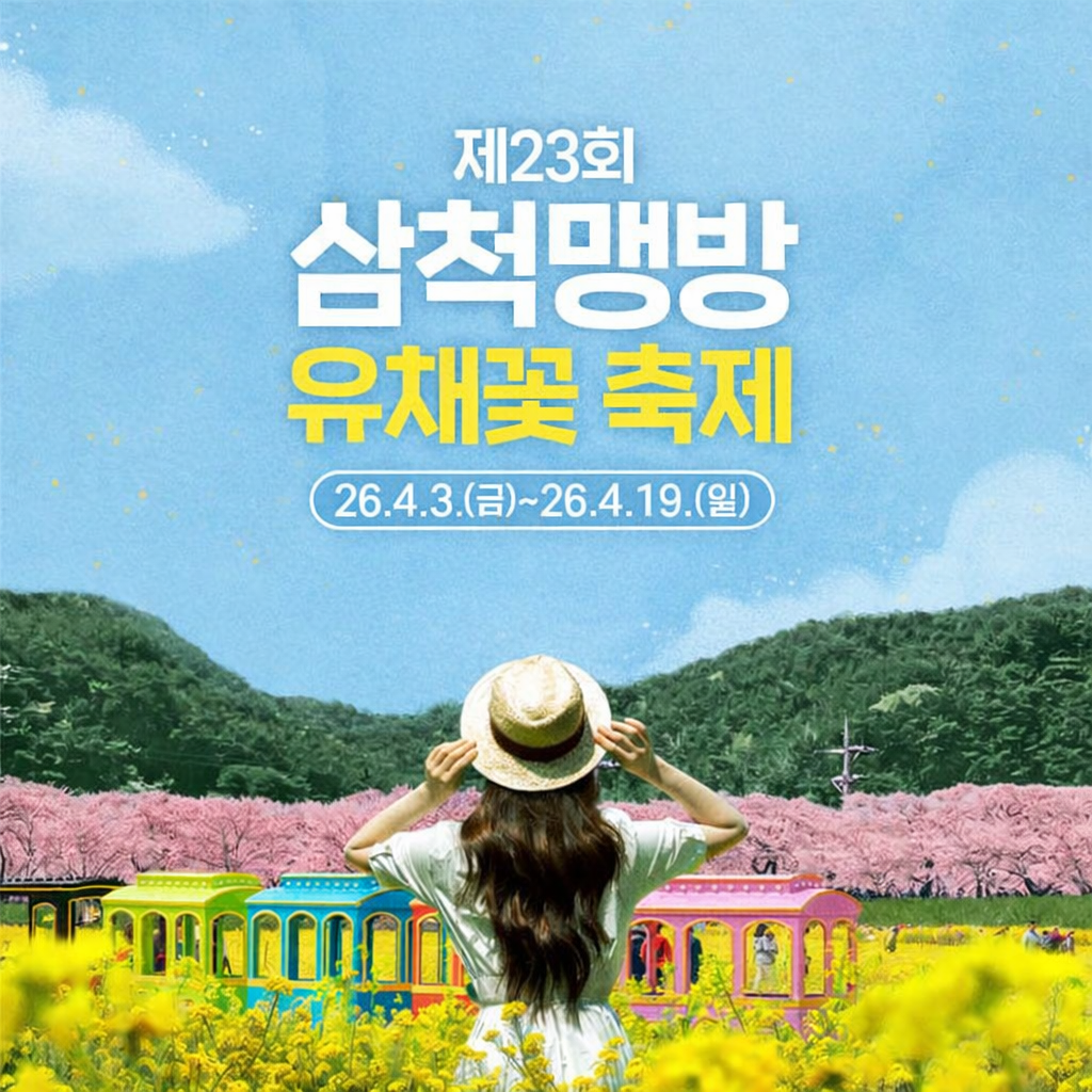 삼척 맹방유채꽃마을 벚꽃 축제