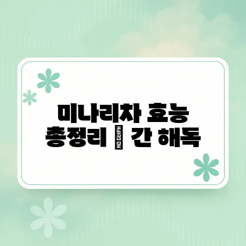 미나리차 효능 총정리 – 간 해독, 혈압 조절에 좋은 이유