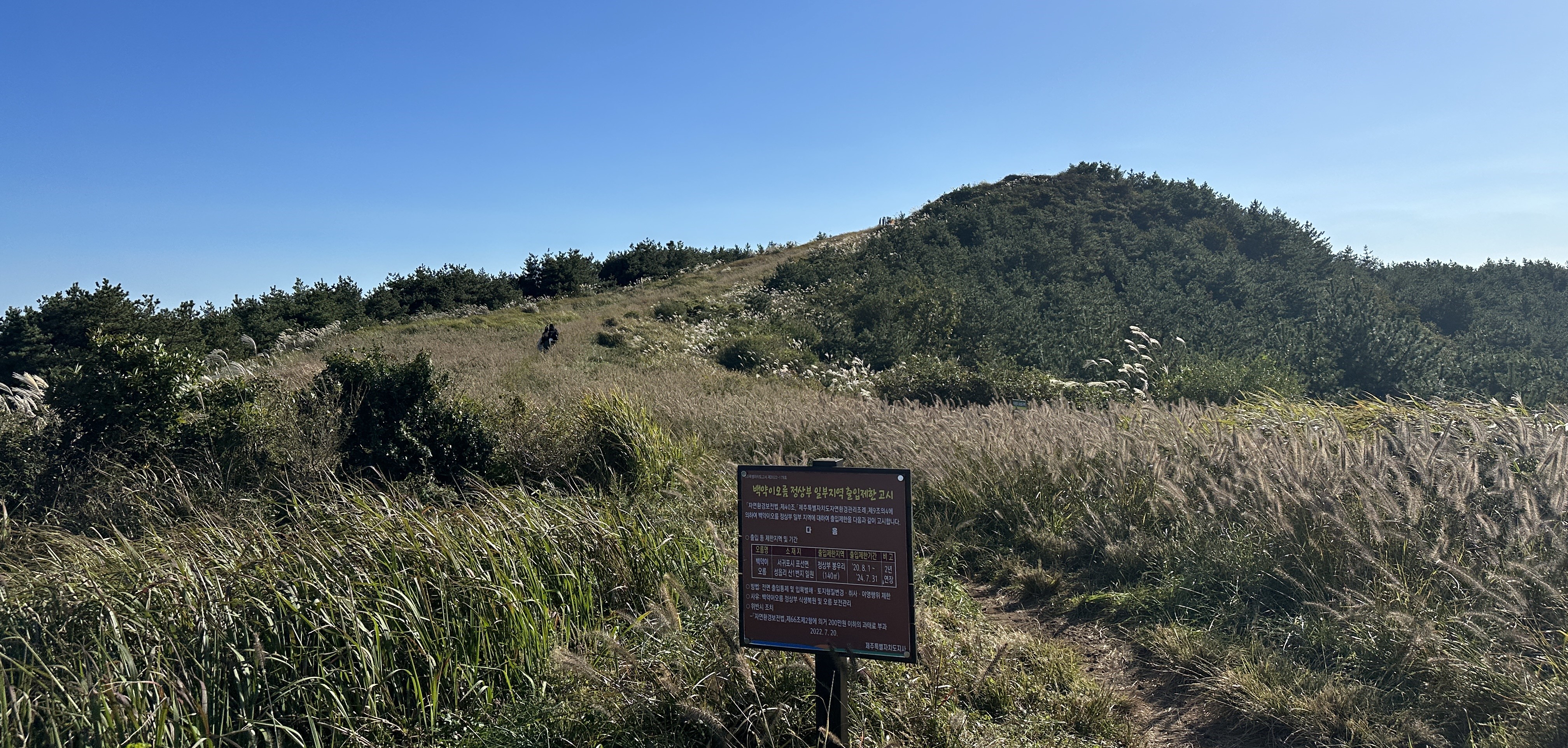 백약이오름 탐방로