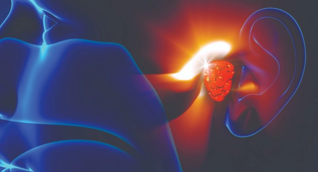 메니에르 병에 좋은 음식 습관