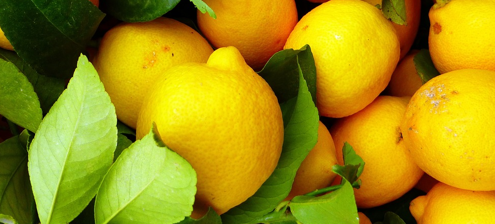 레몬청, 비타민 효과 정말 있을까?