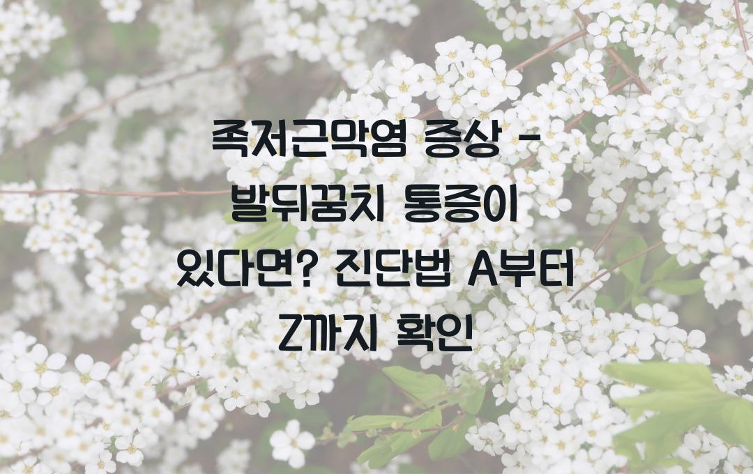 족저근막염 증상 - 발뒤꿈치 통증이 있다면? 진단법 확인!