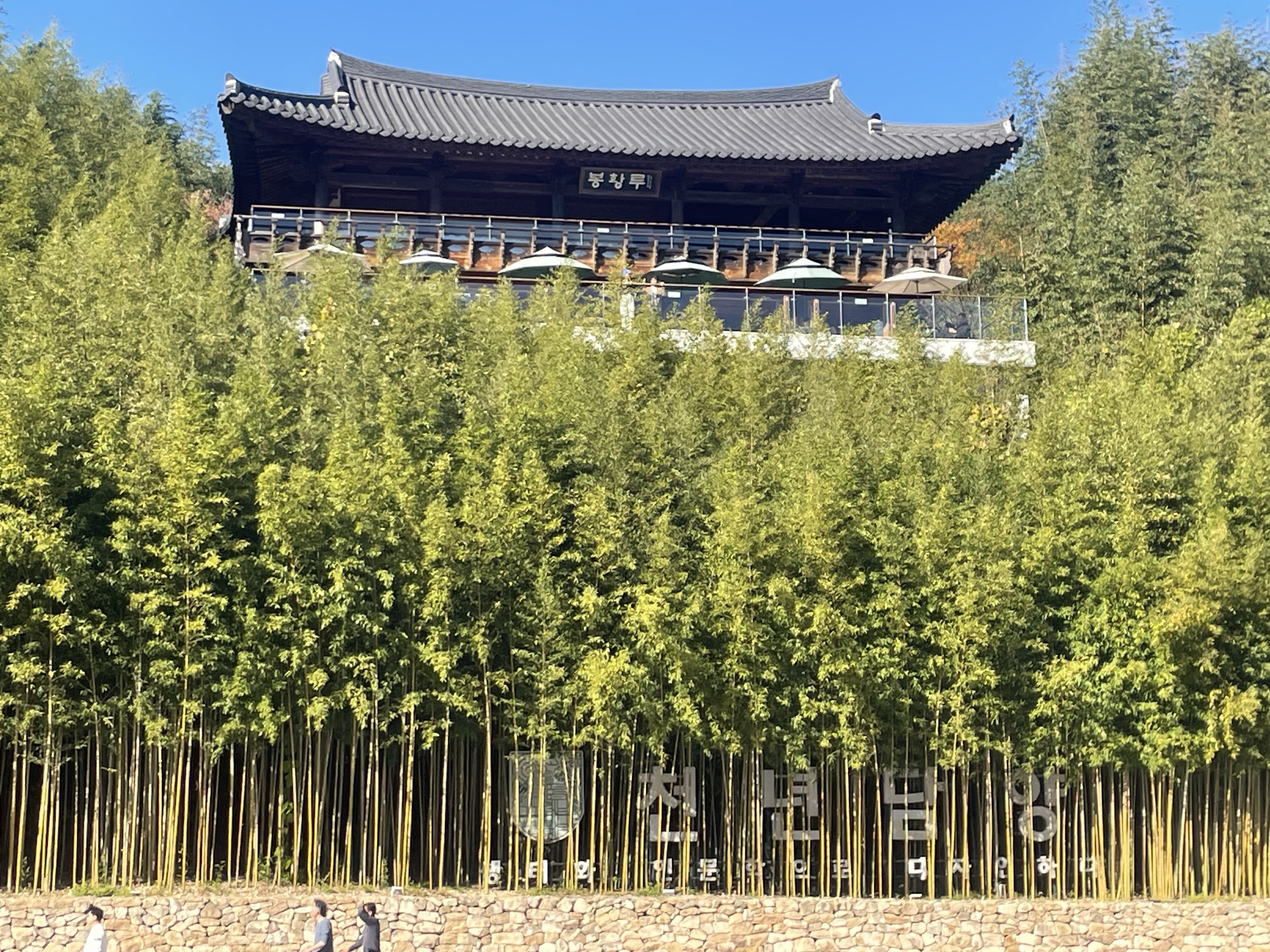 죽녹원 앞