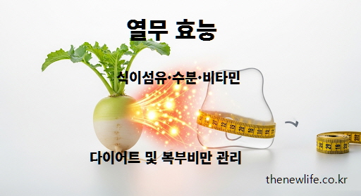 열무 효능 – 식이섬유와 수분, 비타민이 다이어트와 복부비만 관리에 도움