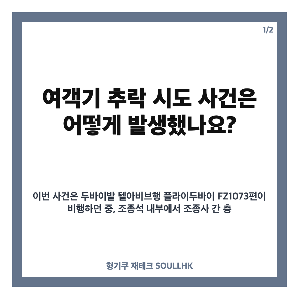 여객기 추락 시도, 조종석 흉기 공격 뒤 비상착륙 사건 정리 카드뉴스 1