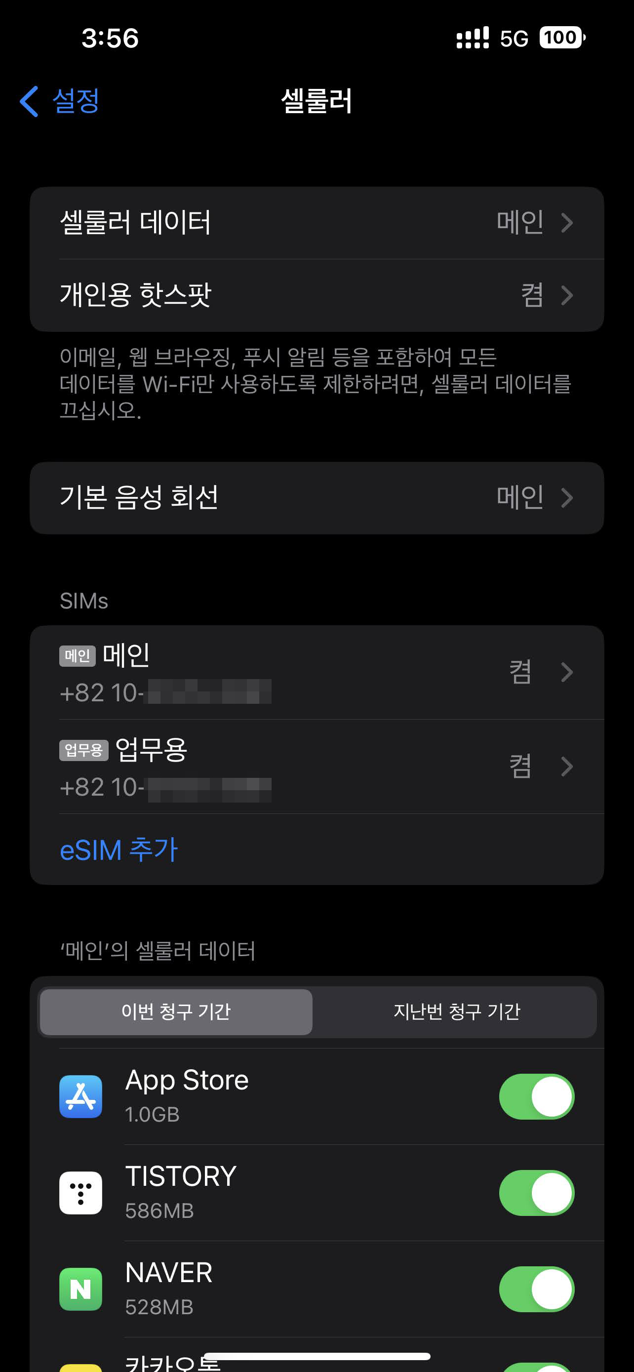 eSIM이 등록된 아이폰