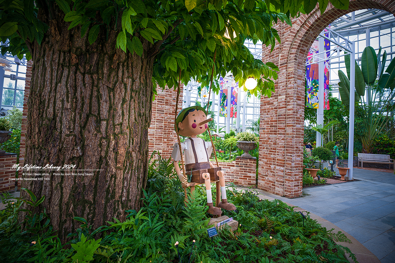 #식물 #나무 #수목원 #세종 #세종수목원 #피노키오