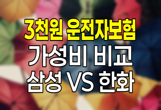 삼성화재 vs 한화손해보험, 다이렉트 운전자보험 가성비 대결