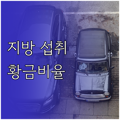 다이어트 성공 핵심! 지방 섭취 황금..
