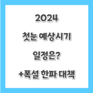 2024-첫눈-시기