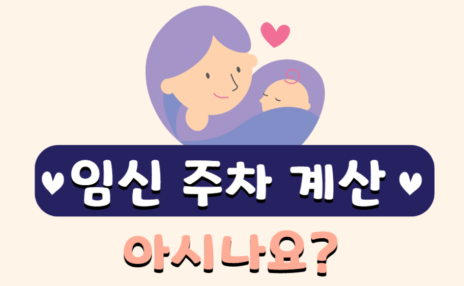 임신 주차 계산&#44; 임신 주수 계산