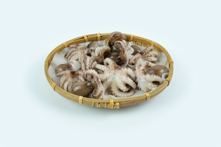 주꾸미 숙회