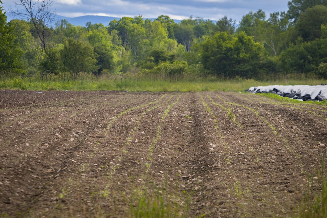 Agricultural.