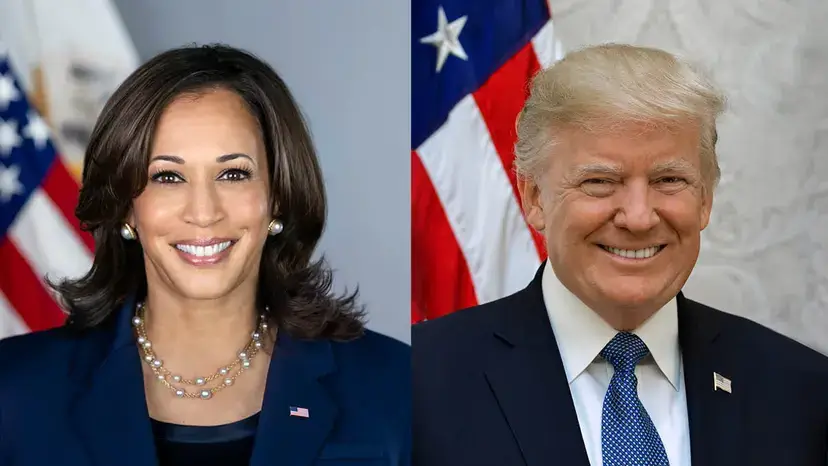 미국 선거인단 제도의 장단점: 선거인단 수와 자격&amp;#44; 선정 절차&amp;#44; 대통령 선거를 이해하는 핵심