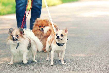 산책하기 좋은 곳이다.