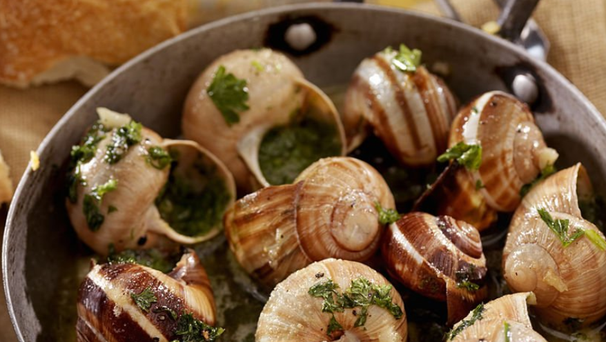 세계의 특별한 요리재료 사진