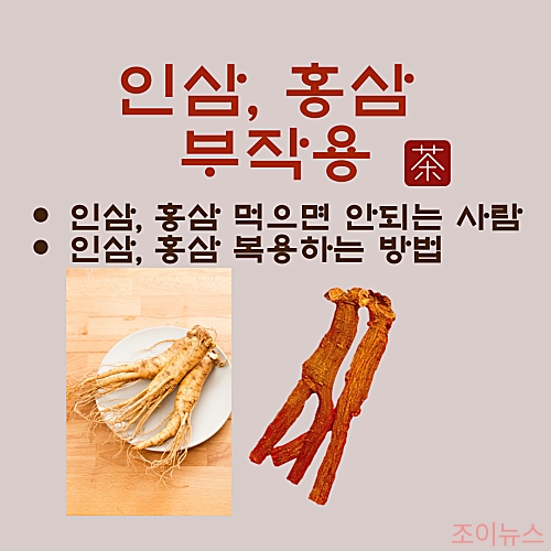 인삼 홍삼 부작용: 먹으면 안되는 사람 vs 안전하게 복용하는 방법