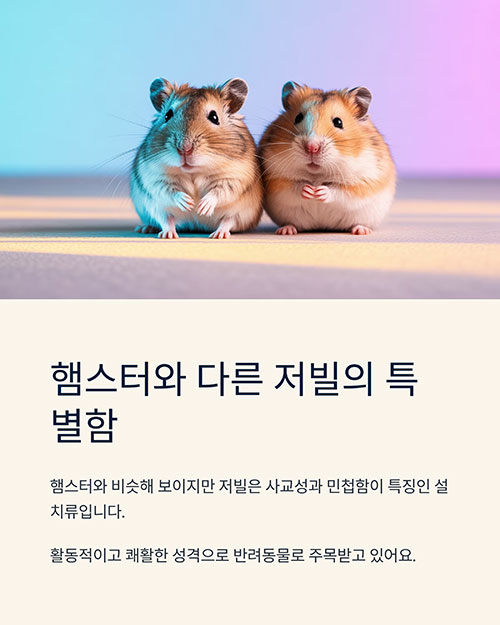 저빌의 특징과 다른 설치류와의 차이점은?