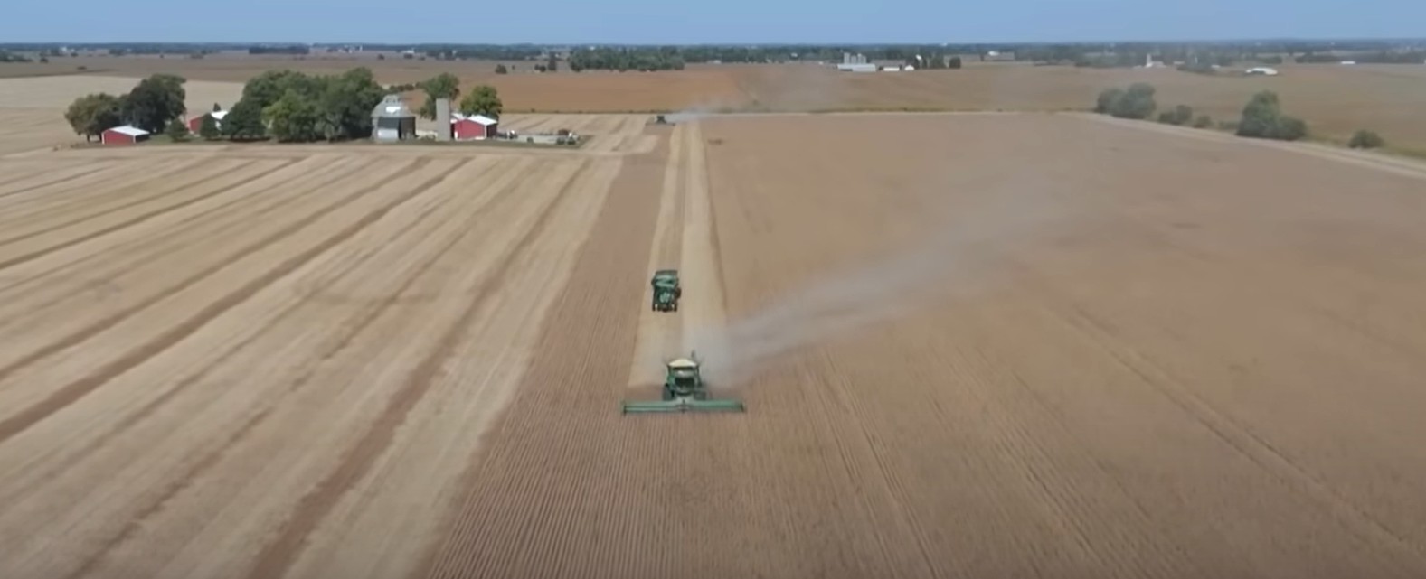 중국, 미국산 대두 구매 중단…아르헨티나 대량 수입으로 미국 농가 비상 관련 사진