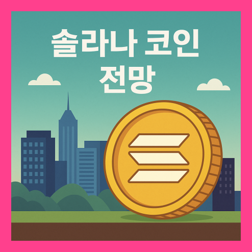 솔라나 코인 전망, 밈코인 선정 기준과 투자 판단 전략