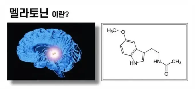 수면유도제