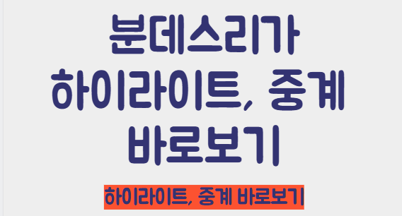 분데스리가 바로보기