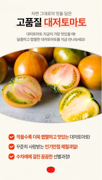 대저토마토 효능 부작용_8