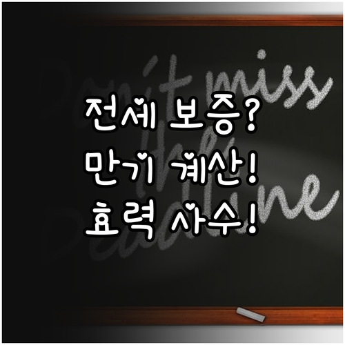 전세 보증 효력 상실 방지 보증 갱신..
