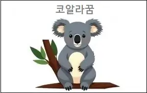 코알라꿈