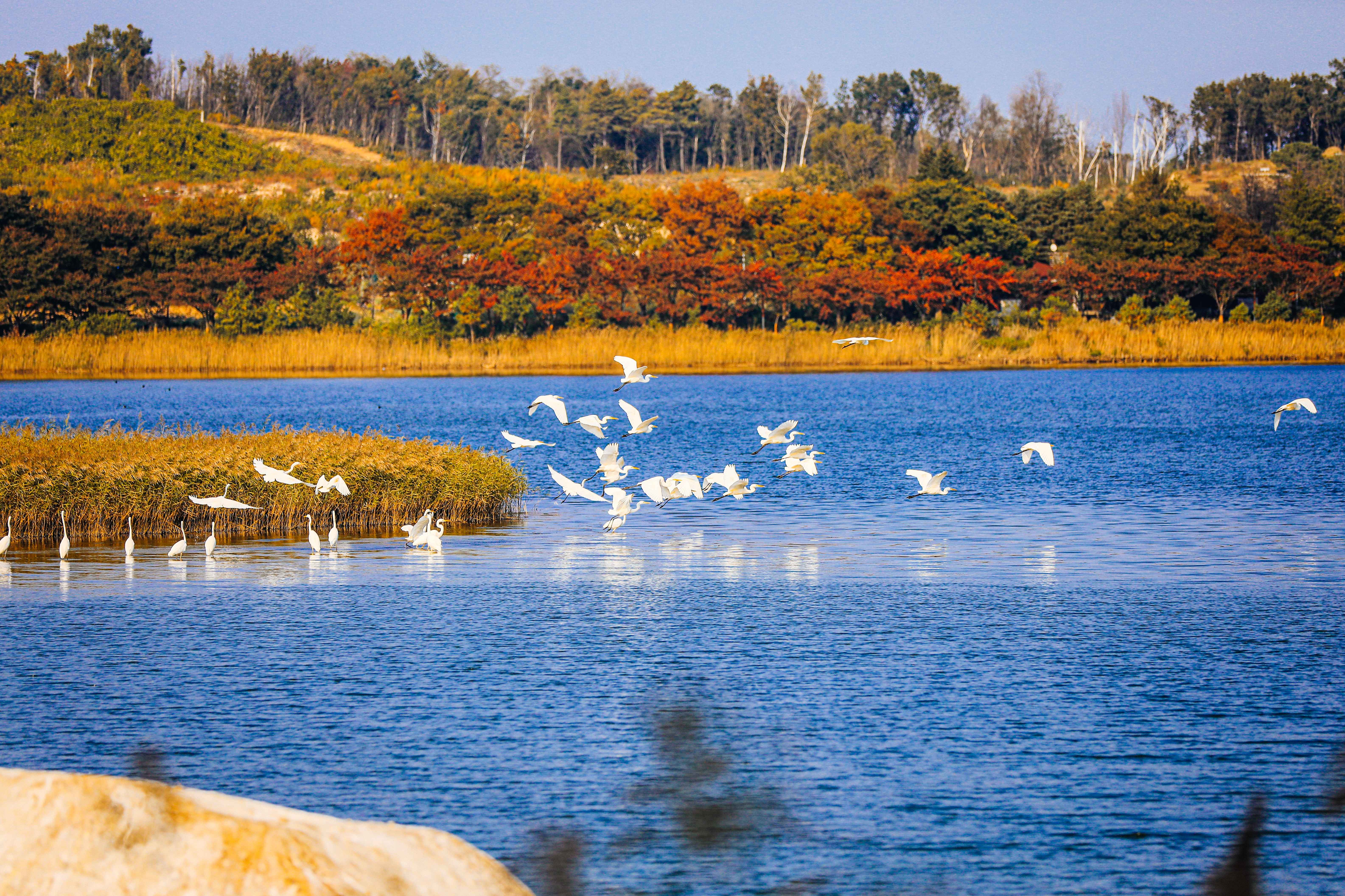 속초-가볼만한곳-추천-영랑호